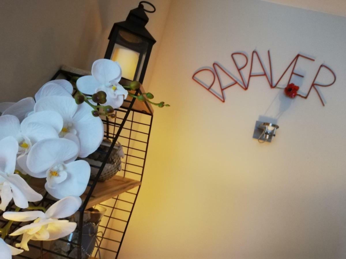 Papaver Apartament Zielona Gora  Exterior photo
