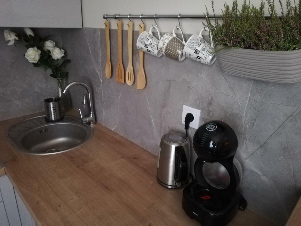 Papaver Apartament Zielona Gora  Exterior photo